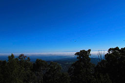 Dandenong Bonzaview B&B view