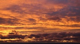 Dandenong Bonzaview B&B view